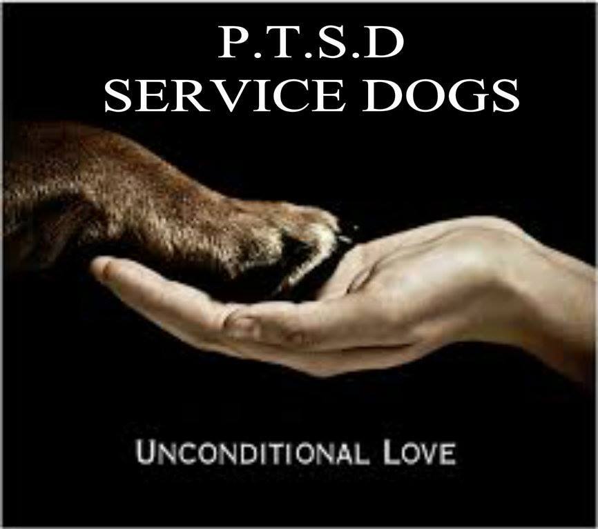 BattleBuddyPTSD's tweet photo. Service Dogs for Post Traumatic Stress ... they do so much more than love unconditionally! http://t.co/r91fPb1SN0