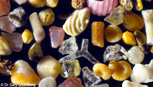 OurOcean's tweet photo. This is how sand looks magnified up to 300 times. http://t.co/prbtLGpxI3 via @boredpanda http://t.co/zzoGhpyV18