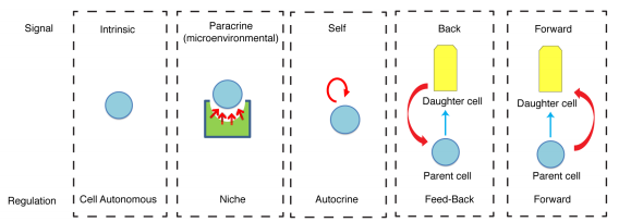 Brandon Law, M.D. tweet media
