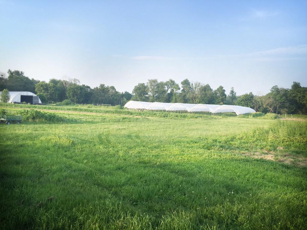 ButlerFoodRecov's tweet photo. @FramFarm found the most gorgeous sustainable farm today that embodies everything that farming should be #FarmToTable http://t.co/e0rs5v5oO6
