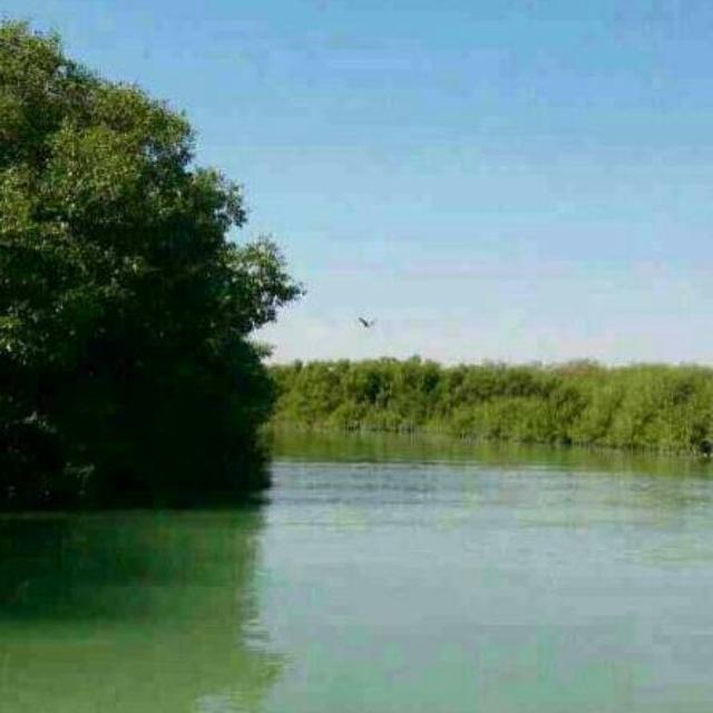 twit5511's tweet photo. جزيرة محوت http://t.co/IFSJ9N2oql