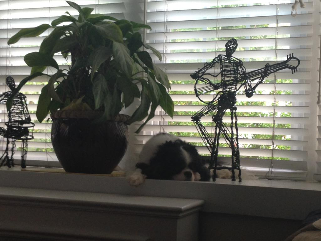 gayle722's tweet photo. sometimes I catch him waiting by the window for Eric #BigMissing http://t.co/GAnKzSP0az