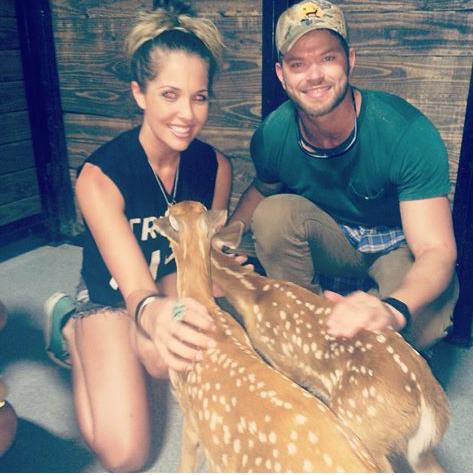 Link permanente da imagem incorporada