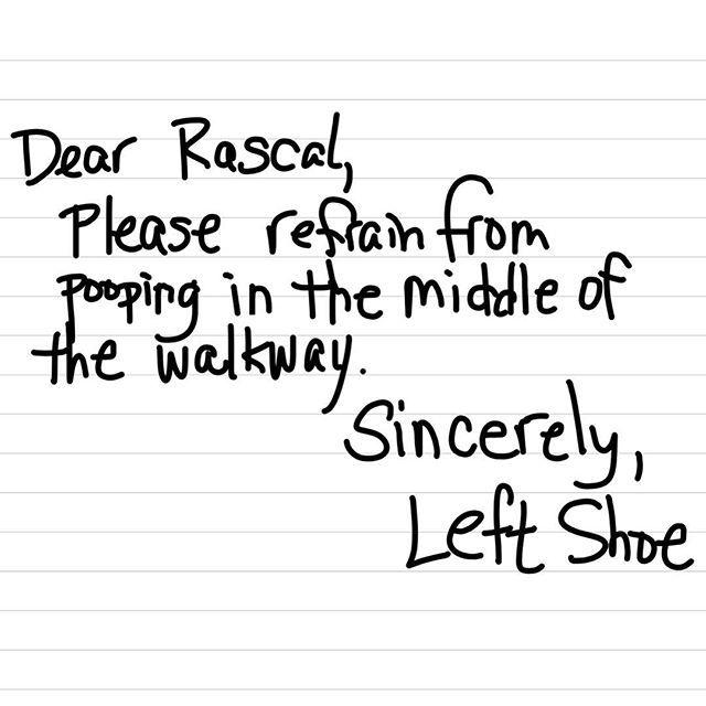 AndyMathisDVM's tweet image. 10-12 inches one way or the other. . . That would be great . . . 
#dogwalkerproblems #Left… ift.tt/1CX0Dvq