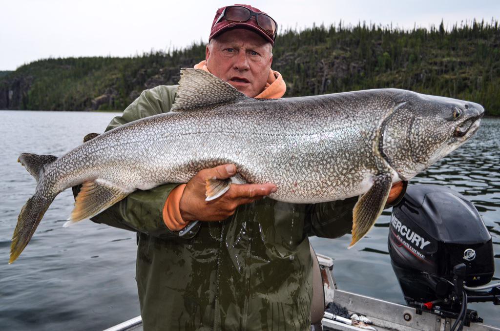 FrontierFishNWT tweet picture