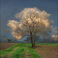 abilogesh's tweet image. Good morning