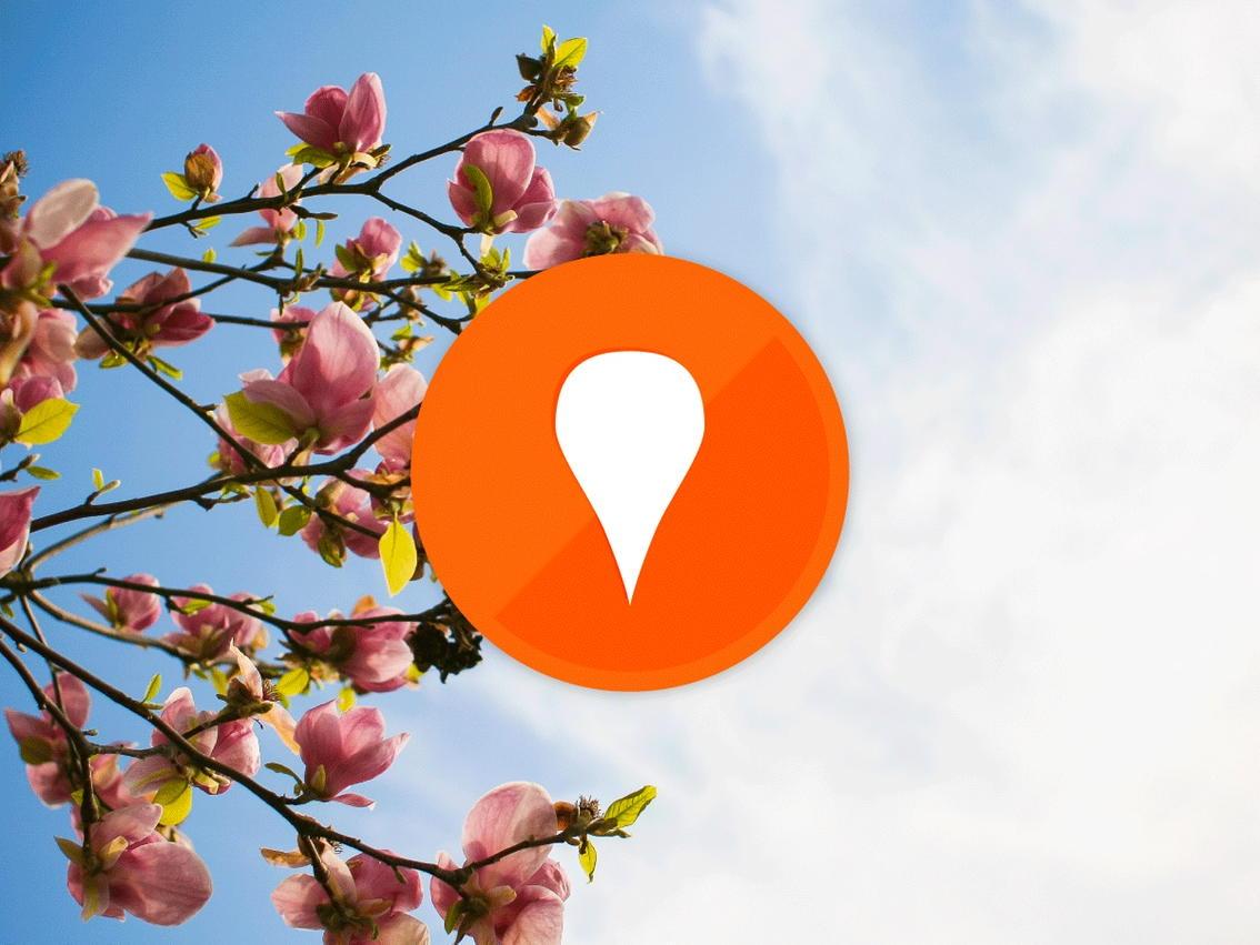 With 500 <a href="/Todoist/">Todoist</a> points, I'm now a Novice! todoist.com/karma - Wait I was less than novice? I was so lame.