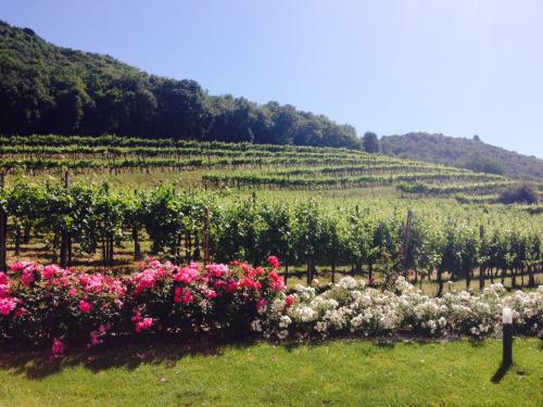 oltreilbalcone's tweet photo. [Amarcord]Gita in Franciacorta:il Regno delle Bollicine
https://t.co/EH3X1O4gBo #oltreilbalcone #vino #Faccoli #Arici http://t.co/XhKDNrmdTA