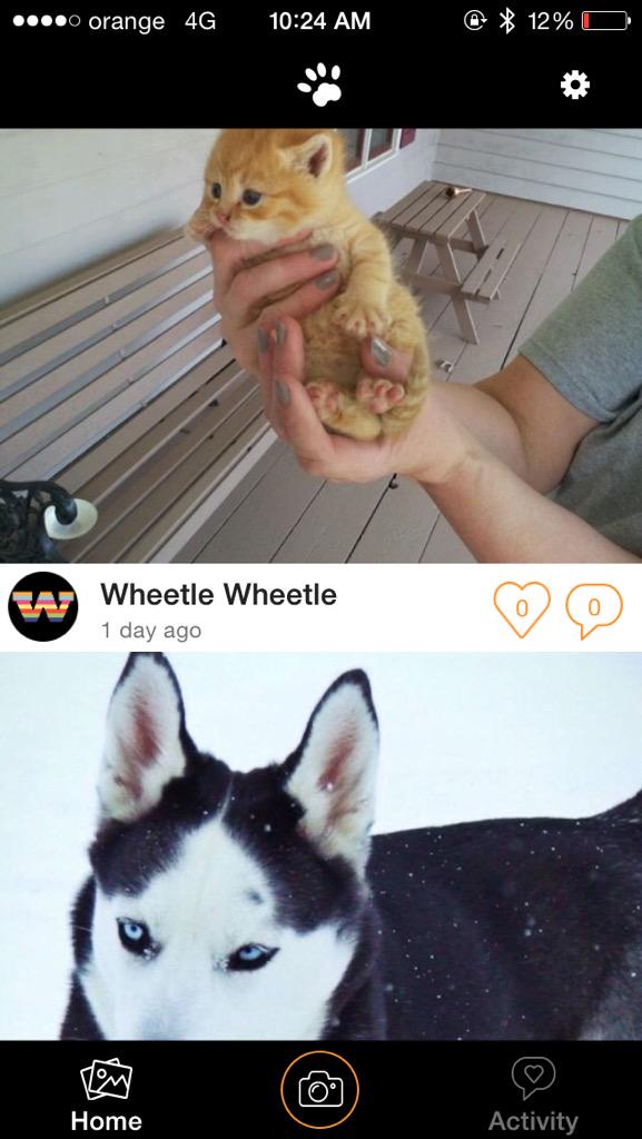 littlepawsapp's tweet photo. #paws http://t.co/GSJ1nVNSGG