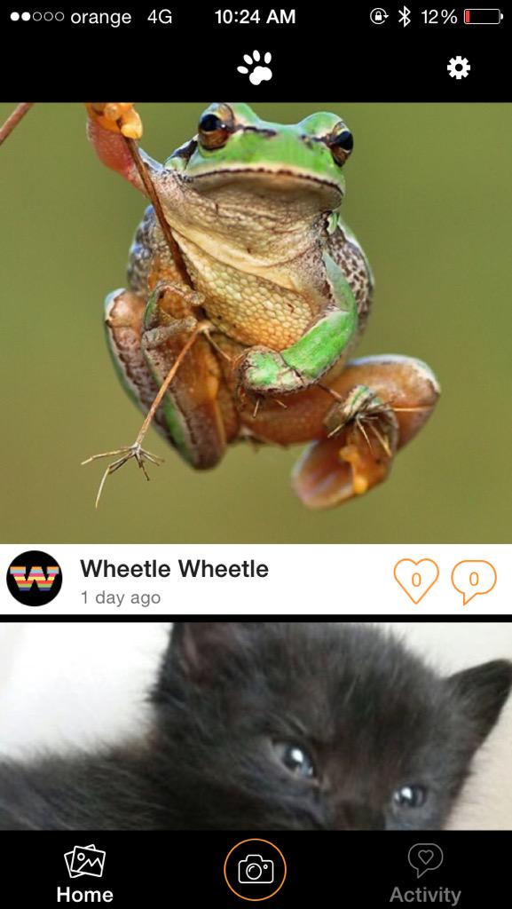 littlepawsapp's tweet photo. #paws http://t.co/RCjMe0vEes