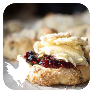 Sara Ward tweet media