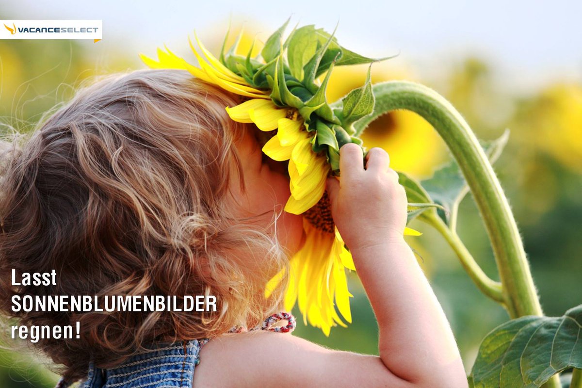 VacanceselectDE's tweet image. Passend zum #positiveday: Unsere Sonnenblumenaktion! Reicht eure Fotos ein und gewinnt. vacanceselect.com/de/angebote-ak…
