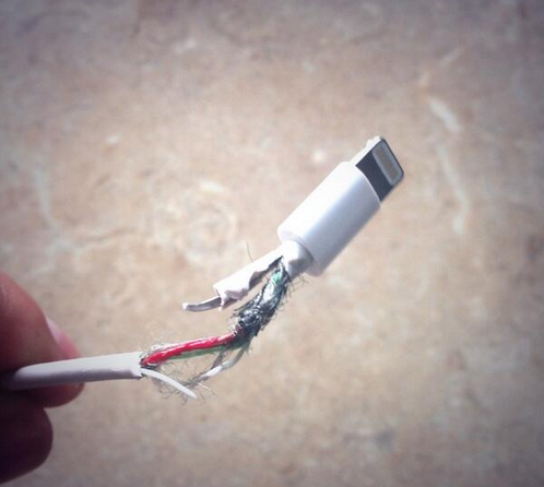 BuzzFeed's tweet photo. Dear Apple, 

We need to talk about your ridiculous iPhone chargers http://t.co/GAYJeaRI9i http://t.co/9Pv79r2nMw