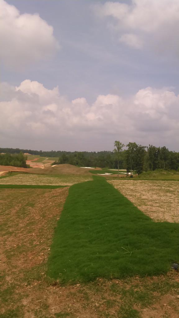 Update on Hole #10, grass coming in... Another week or two and we'll start cutting fairways
