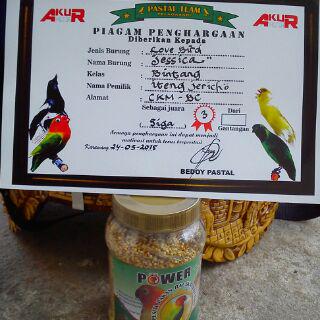kicau tweet media