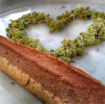 RoIIBlunts's tweet photo. fav if you love weed https://t.co/l5tDkNooJT