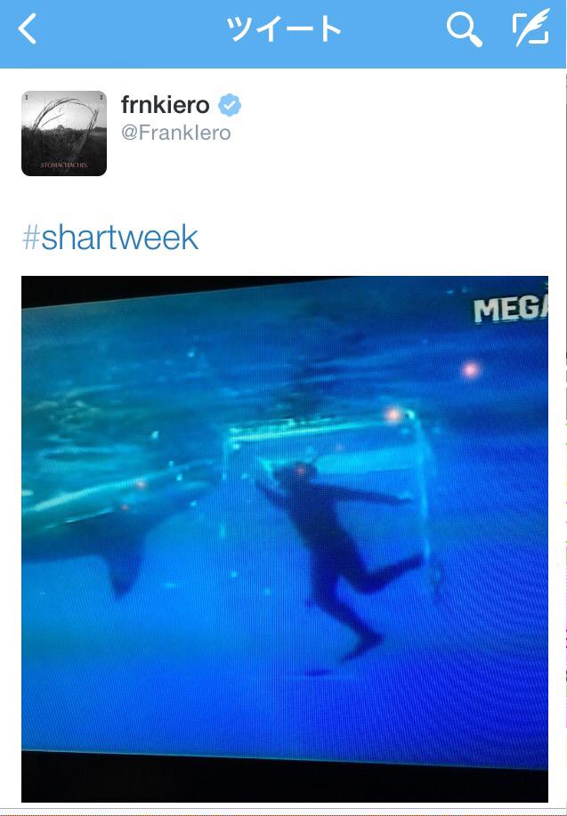 シャークウィーク シャークウィーク