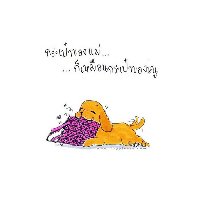 DogpleaseMaaJa's tweet photo. กระเป๋าแม่ ก็เหมือนของหนู http://t.co/kVyundWajY