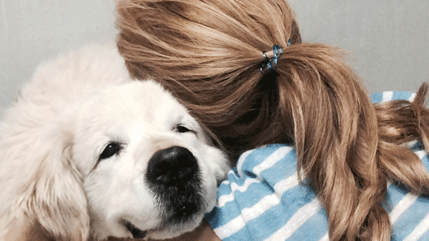 #LoMásComentado La emotiva despedida de <a href="/TeresaViejo/">Teresa Viejo 🖤</a> a su perra Lala mdia.st/1M6G8BG