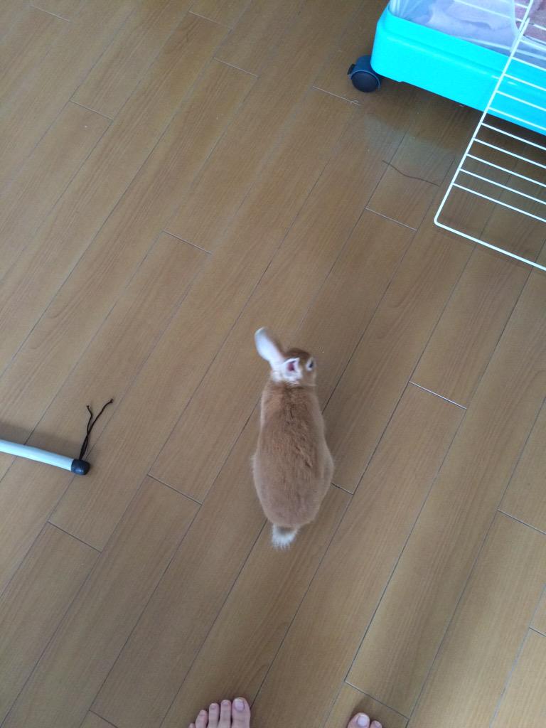 Qumuni's tweet photo. どこ行くのかな😊 http://t.co/Gt9OcJkdAE