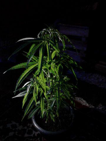 once upon time, I'll miss you :))