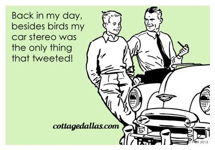 Cottage Dallas tweet media