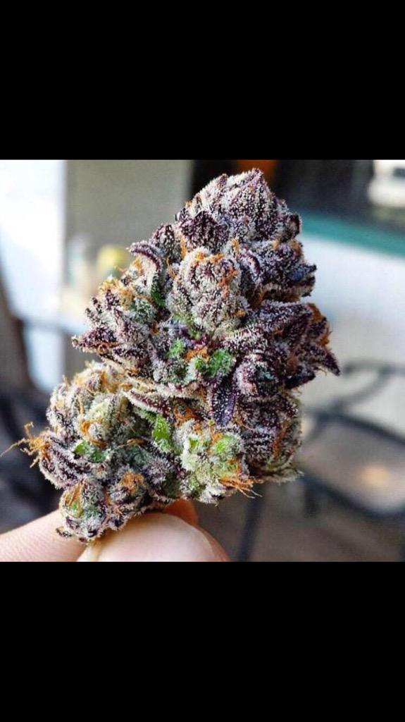 PotPornv's tweet photo. fav if u would smoke this. http://t.co/DjD7eE0Rxd