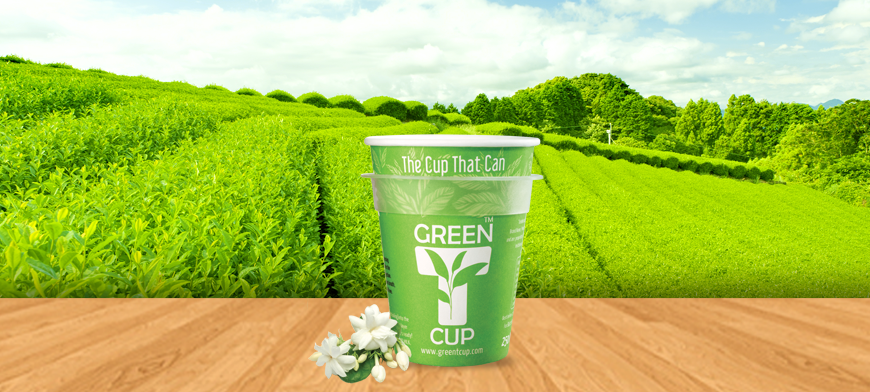 greent_cup's tweet photo. There's no better aroma than Jasmine Aroma. To know more visit our greentcup blog today.
http://t.co/BAAnIaA1mZ http://t.co/On1zr5tBnp