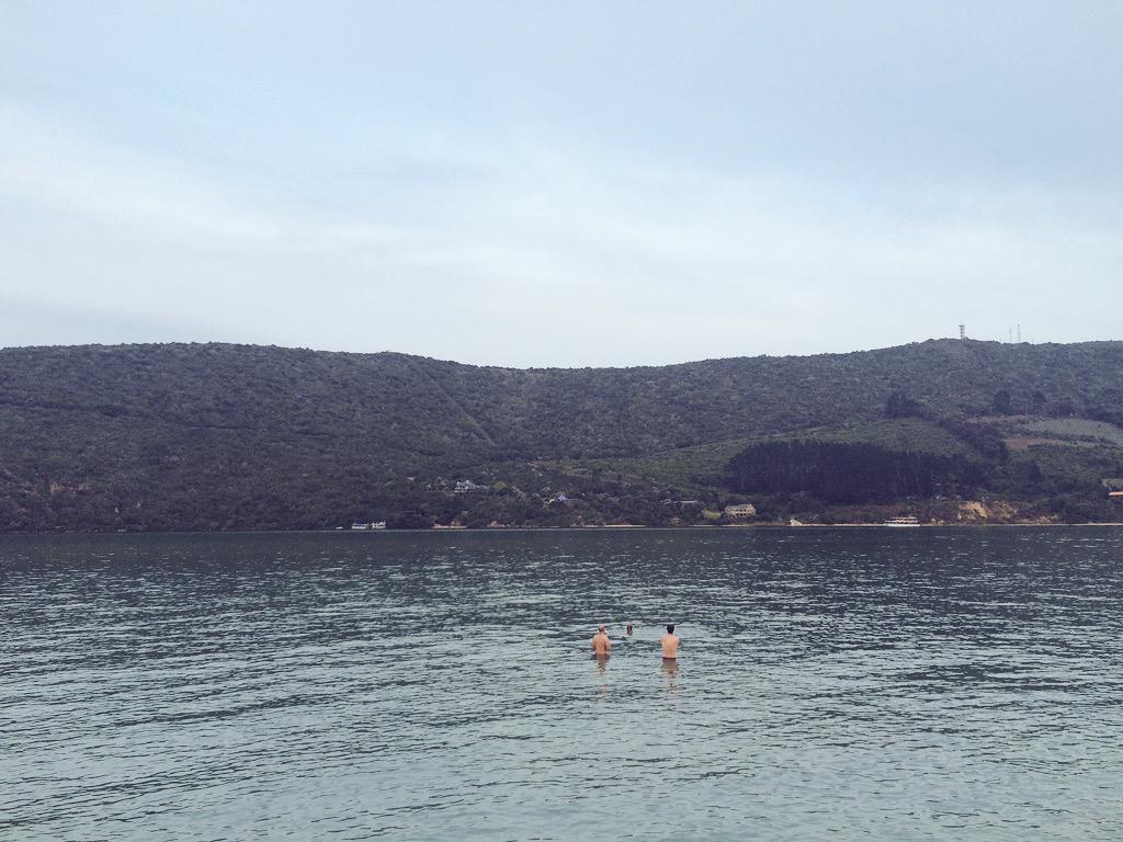 Holdfast tweet media