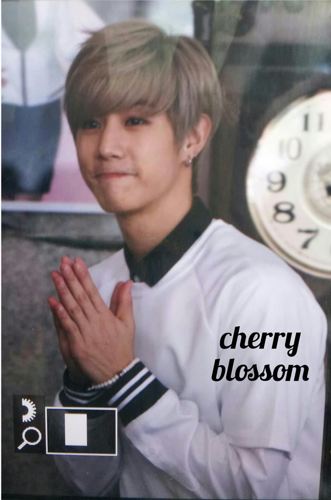 cherryblossom7_ tweet picture