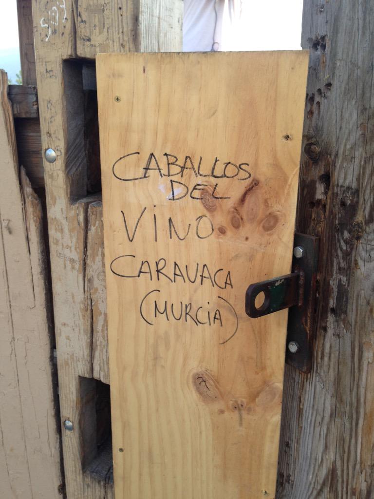 jose_lolu's tweet photo. Estar en #SanFermin2015 y encontrarte #CaballosDelVino @CaravacaFiestas @EnCaravaca http://t.co/mWauQZFqp3