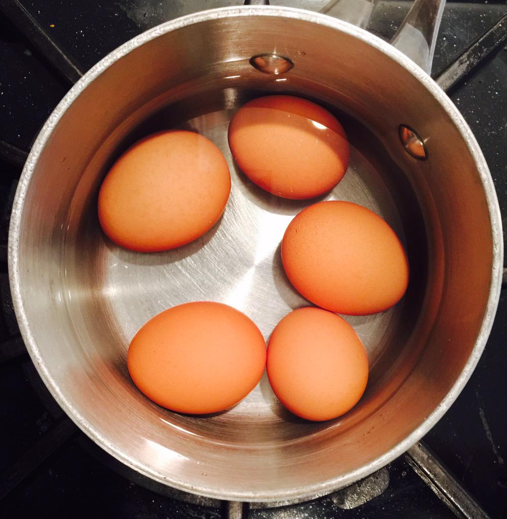 Brown Eggs are Local Eggs &amp; Local Is Fresh <a href="/SweetGeorgiaPs/">Sweet Georgia P's</a> <a href="/michaelbledsoe/">Mike Bledsoe</a> <a href="/Mother_Juice/">Mother Juice</a> <a href="/Lifeisgood/">Life is Good</a> <a href="/SpartanRace/">spartan</a>
