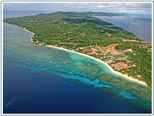 Turtle beach Roatan @Turtlebeachroat - Twitter Profile | TwStalker