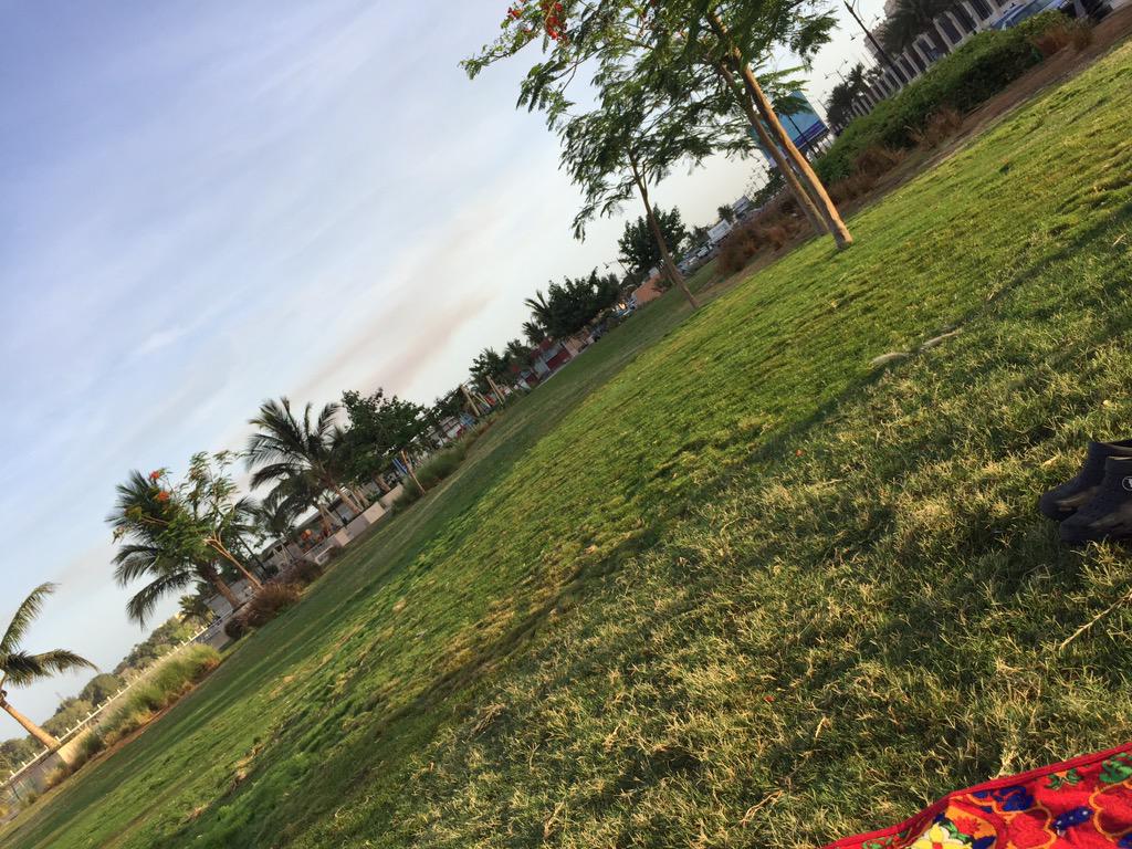 لا اله الا الله  سبحان الله وبحمده