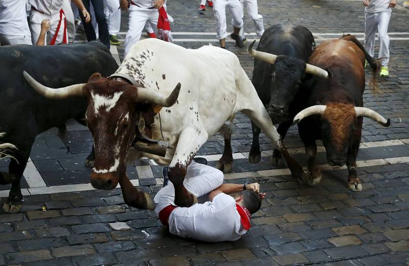 rtve's tweet photo. El primer encierro de San Fermín 2015, en imágenes http://t.co/tT1cAzYmJI #SanFerminesTVE http://t.co/NjQ4JMwDUr