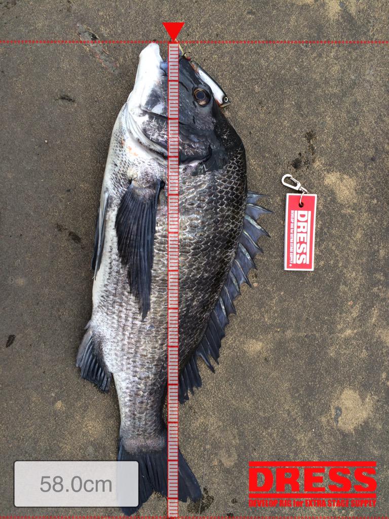 angler0427's tweet photo. トップで年無しきたー‼︎‼︎‼︎
しかも後2センチで…後2センチで…！……
俺の夢は年無しからロクマルに変わったぞ。。。 http://t.co/rFXliYoPsI