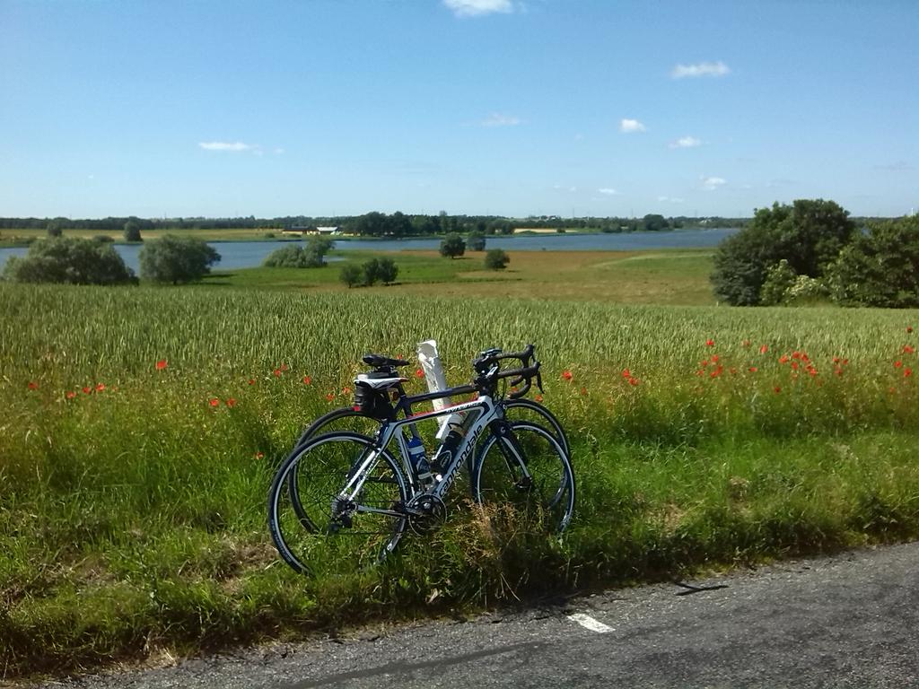 bikeAlottle's tweet photo. On my way with twinsis - 57 km done 'till now #twintraining #summer #allabouttheride #vacation http://t.co/3a8z3LXfTC