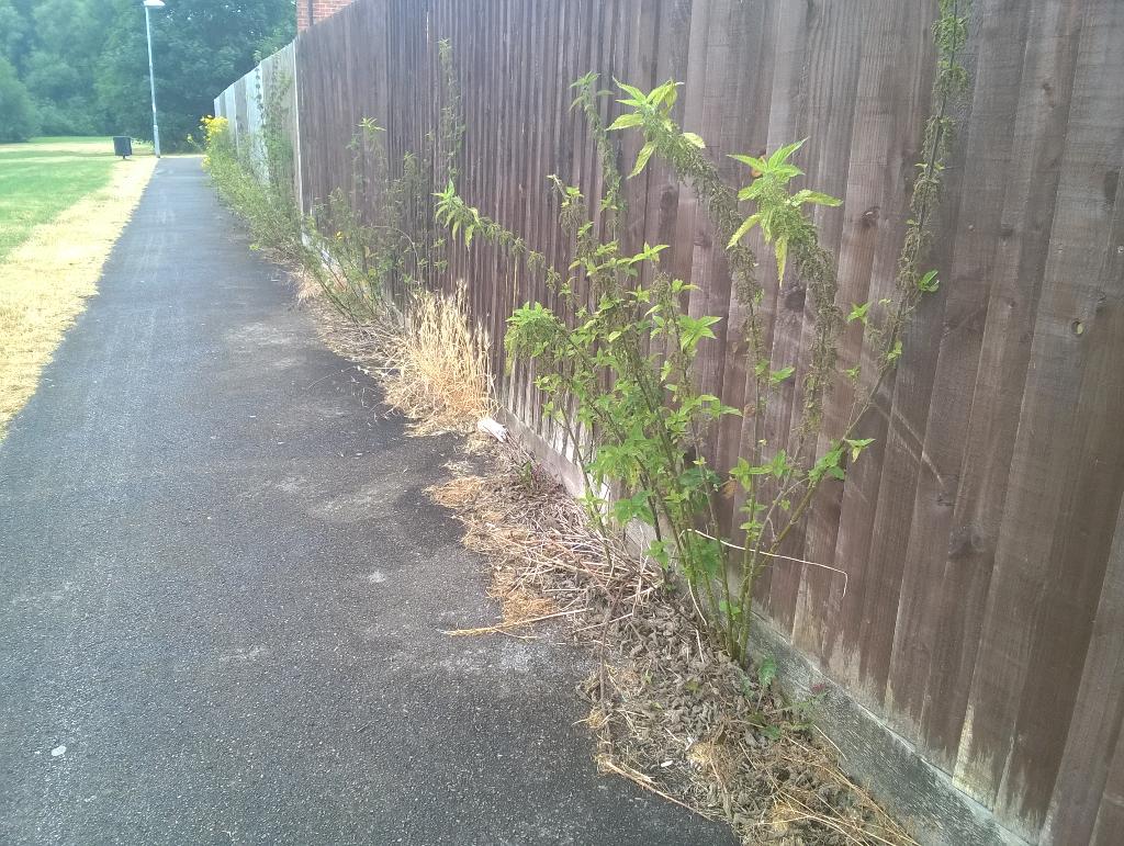 WestBerksWarden's tweet photo. 3ft stinging nettles in Theale have now had a nice haircut thanks to the team. http://t.co/JNFJgYIah3