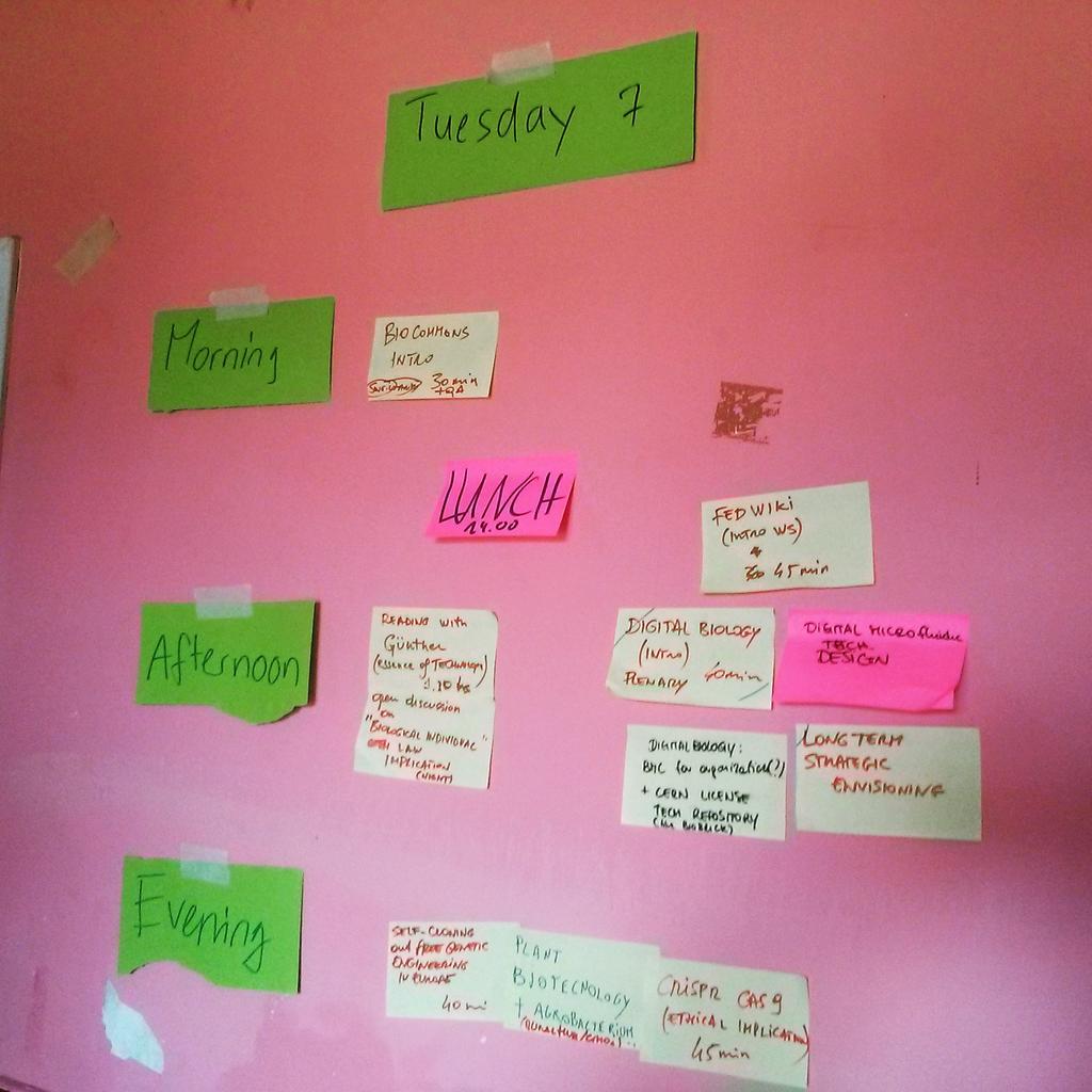 YvanMiglio's tweet photo. #BIOCOMMONS #commonscamp @RuralHub inizia // #biologia #digitalbio #biohack #biohackers #biology #newrurality http://t.co/IJA5x6X5Bn