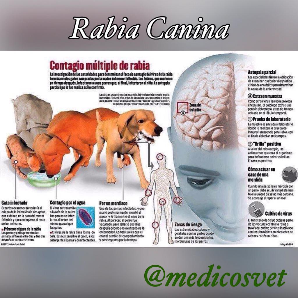 MEDICOSVET's tweet photo. Rabia Canina http://t.co/fwNZDbQOp8