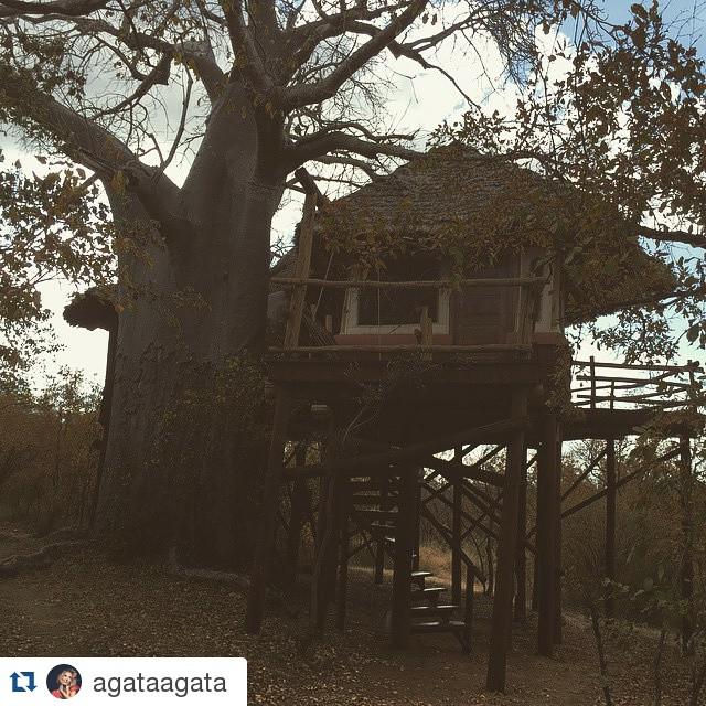 ignaciovegaDr's tweet image. #Repost agataagata
・・・
treetopshotel #treetopshotel 
#домикНадереве по просьбе подписчиков😎 Честно, это была мечта де