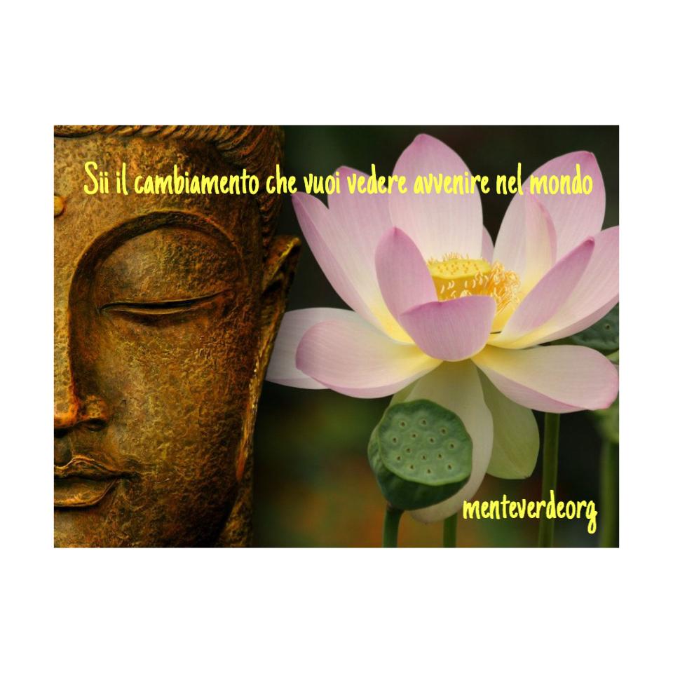 menteverdeorg's tweet photo. #menteverde #menteverdeorg #benessere #salute #meditazione #vitabio #bio http://t.co/nBHb5mf5mE