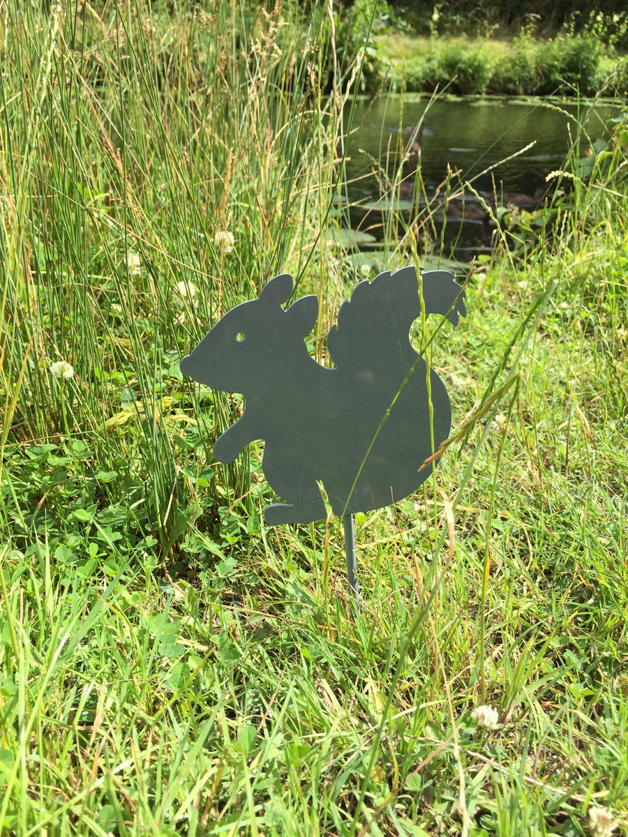 JWengineering's tweet image. Squirrel on a push down spike