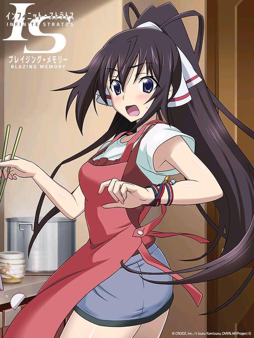 篠ノ之箒のtwitterイラスト検索結果 古い順