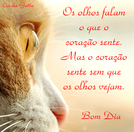 raropensador's tweet photo. "BOM DIA AMIGOS!! MARAVILHOSA TERÇA-FEIRA A TODOS!!" http://t.co/SPXwn8UCM2
