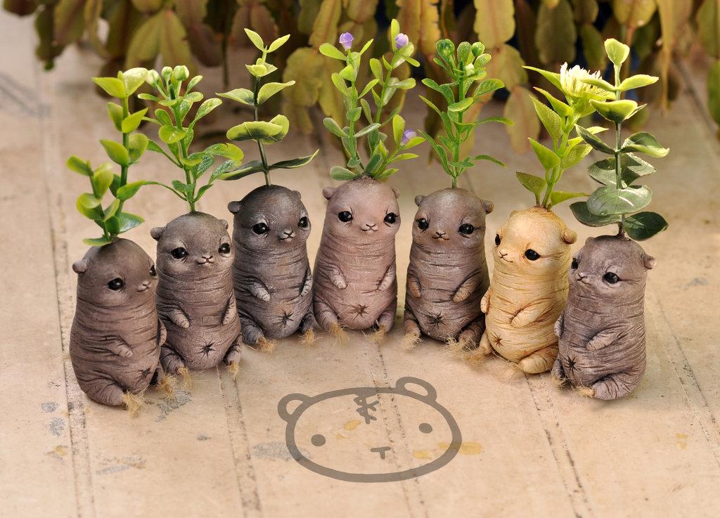 New batch of Mandranimals! ( for sale tomorrow) by LisaToms #Fantasy dlvr.it/BRrVKY