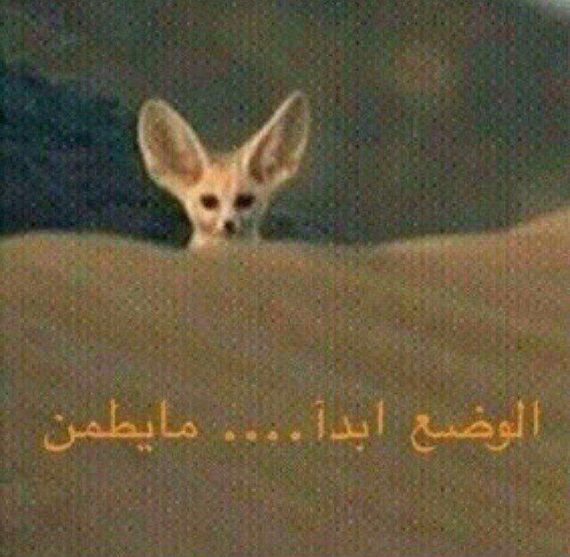 MMmllff's tweet photo. @MMmllff http://t.co/Pb2oiWMjaU