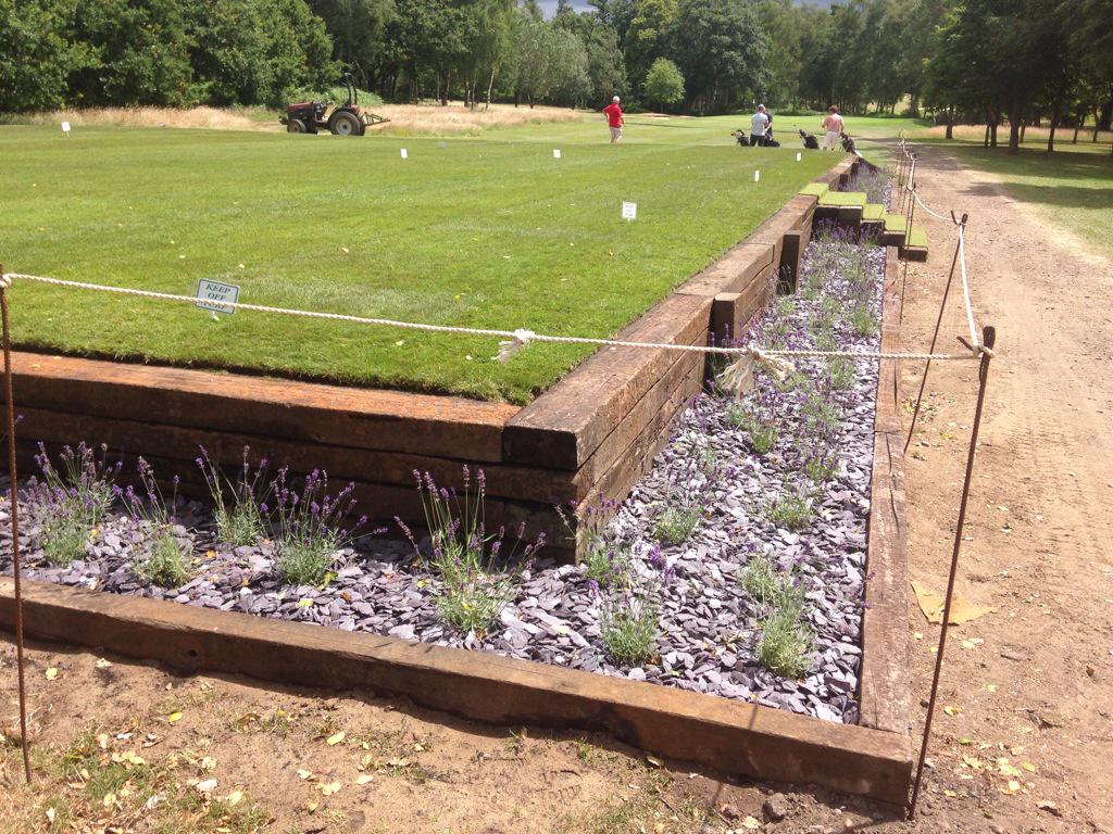 DavidGibbs96's tweet image. Great team effort @PaceBarry @SilvermereGC @stevecoops41 @aconstable @RyanPursey4 new 15th tee #silvermeregreenstaff.
