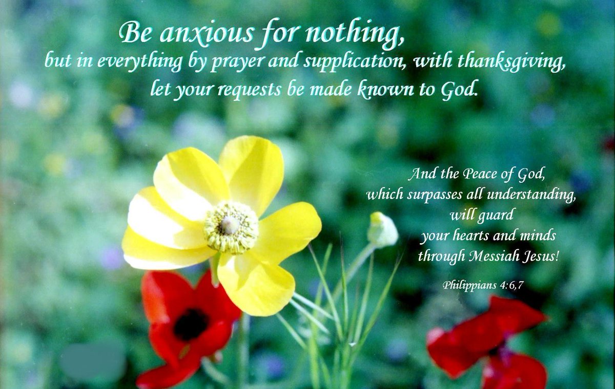 Christernets's tweet image. christernet.net/you-are-my-all… As my heart plans my way, Please Lord direct my steps.You assures us to be anxious for nothing