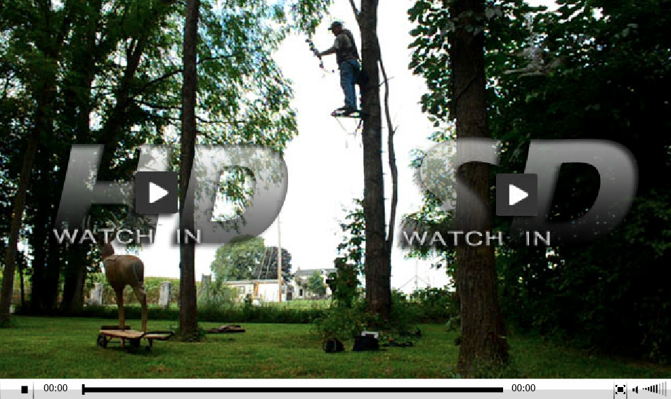 Midwest Whitetail tweet media